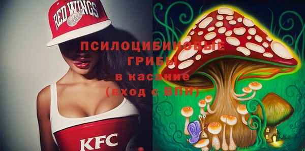бошки Алексин