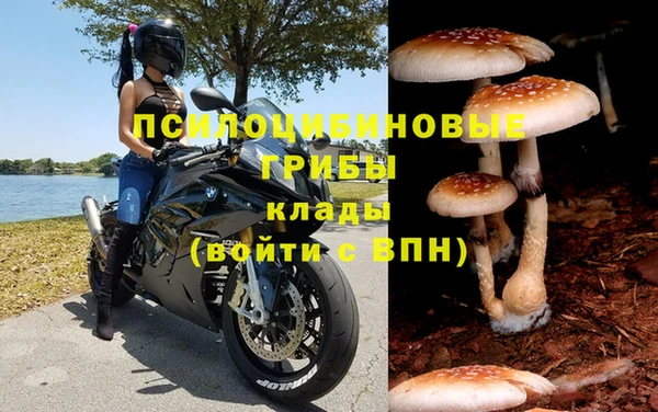 бошки Алексин