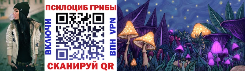 kraken tor  Череповец  Псилоцибиновые грибы мухоморы 